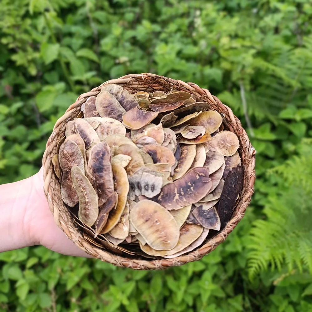 Açlık Otu (1 kg)