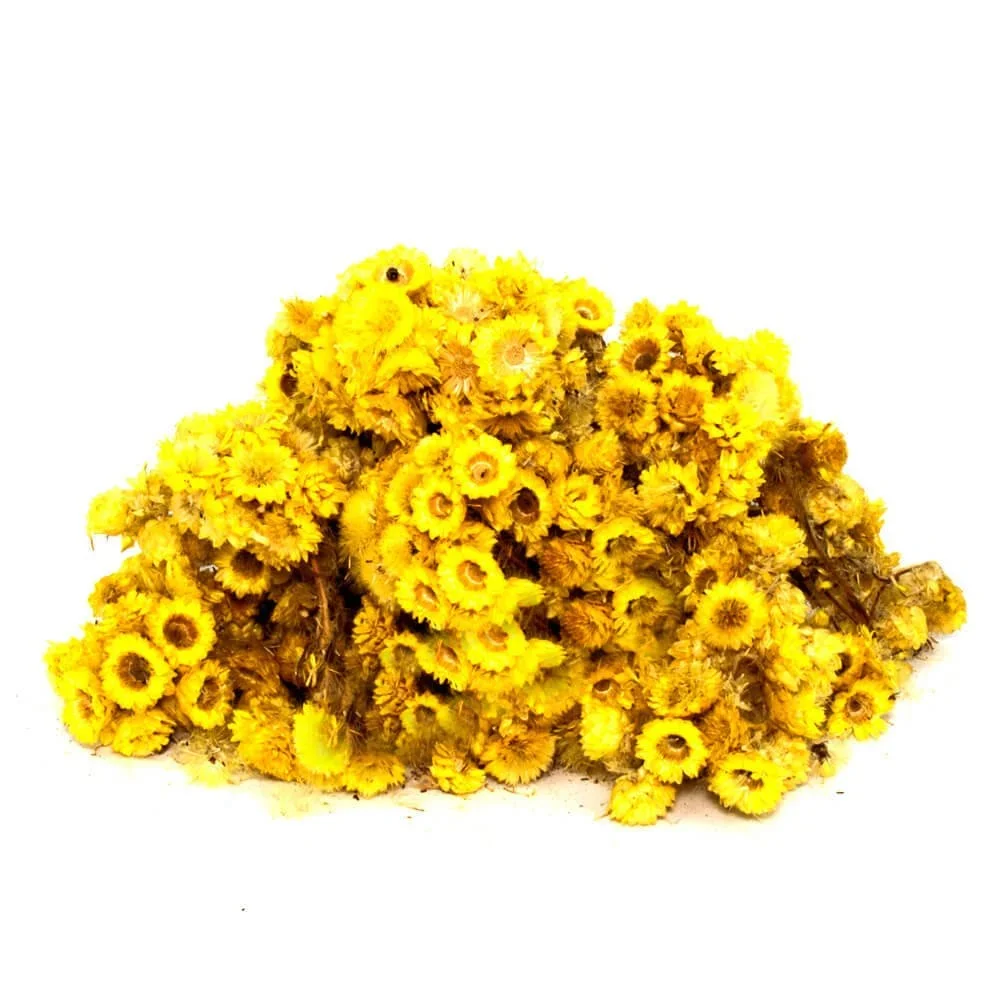 Altın Otu (1 kg) - Görsel 2