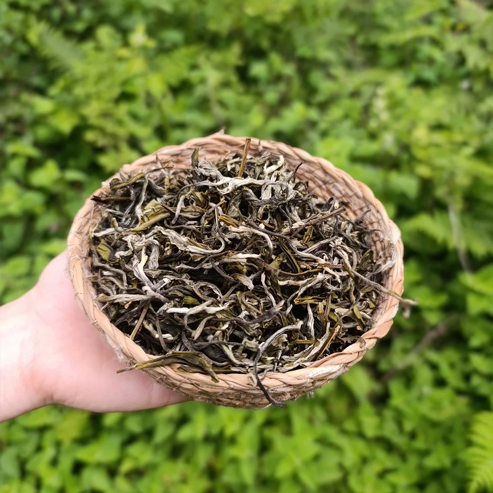 Beyaz Çay (1 kg)