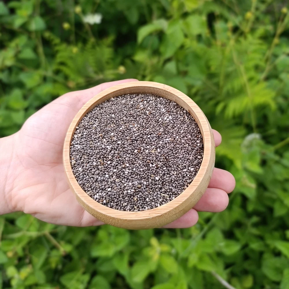 Ciha Tohumu (1 kg)
