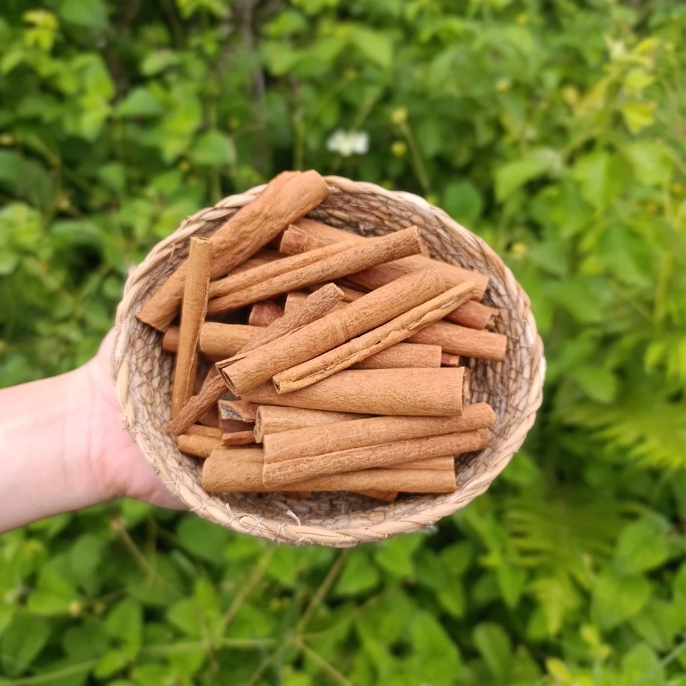 Çubuk Tarçın (1 kg)