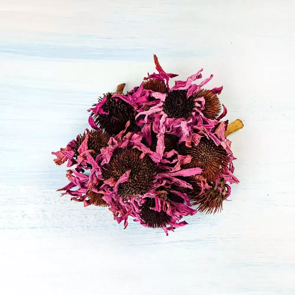 Ekinezya (1 kg)