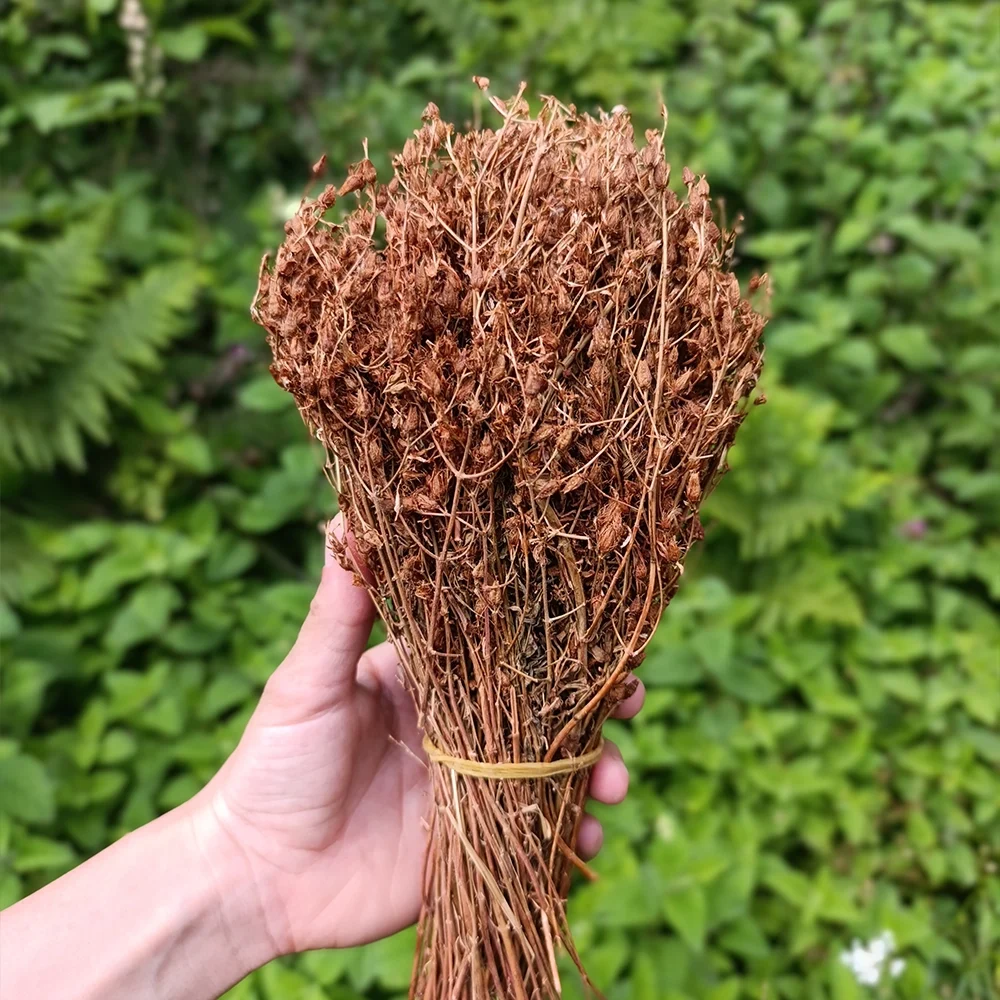 Kantaron Çiçeği (1 kg)