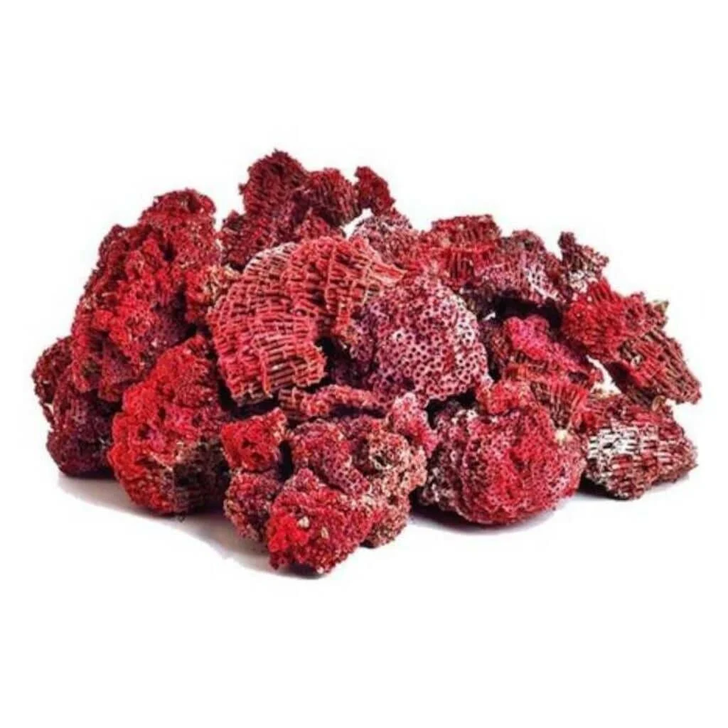 Kardeş Kanı (1 kg)