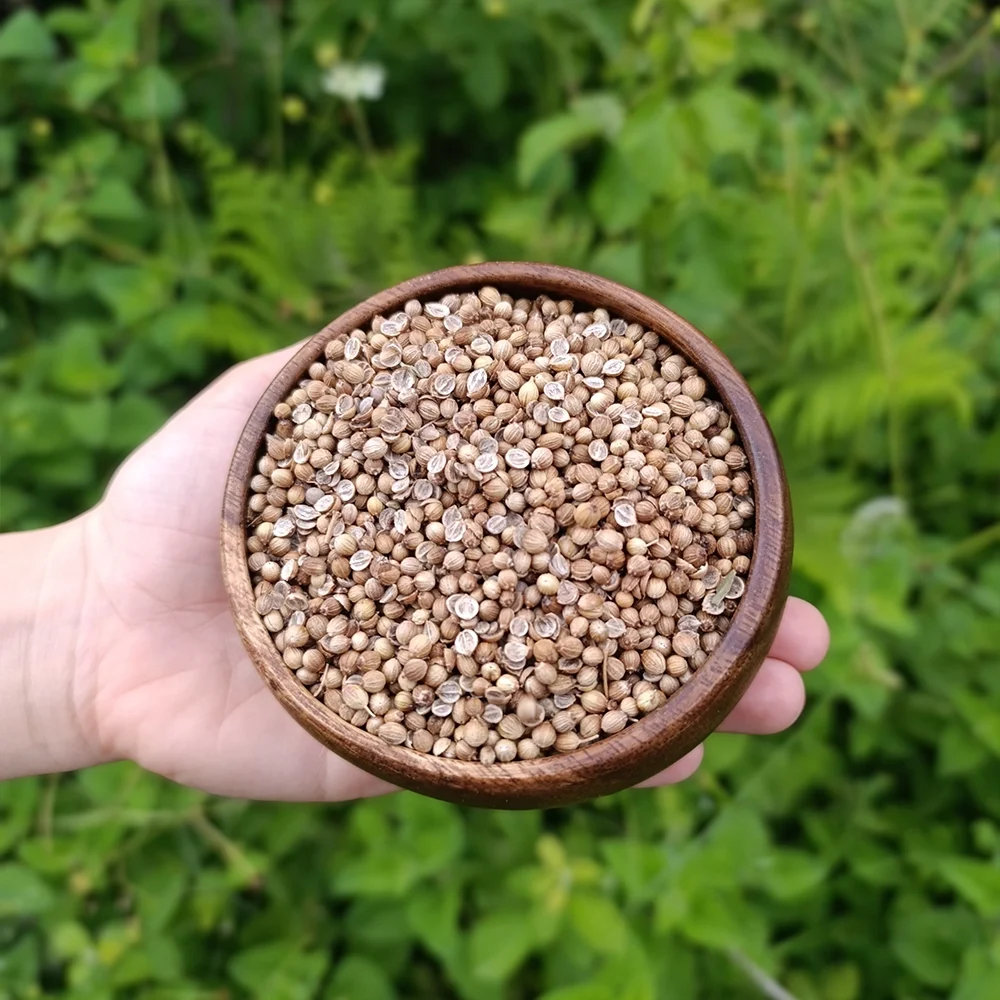 Kişniş (1 kg)