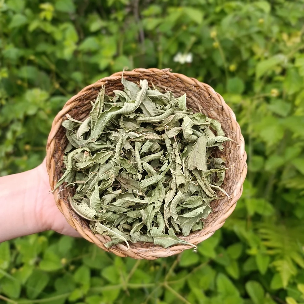 Melisa (İran) (1 kg)
