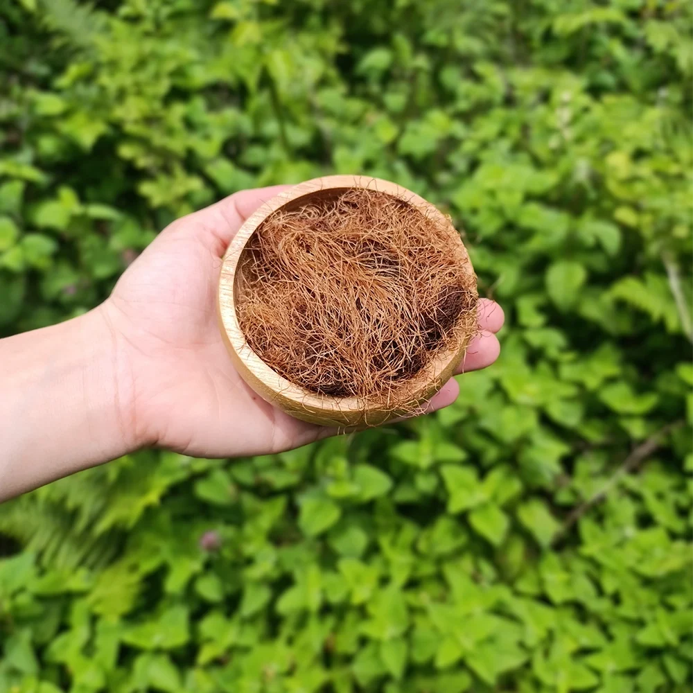Mısır Püskülü (1 kg)