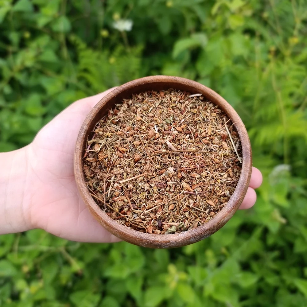 Süpürge Tohumu (1 kg) - Görsel 2