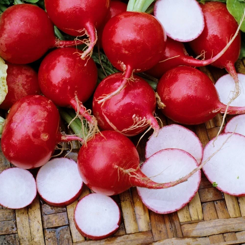 Turp Tohumu (1 kg) - Görsel 3