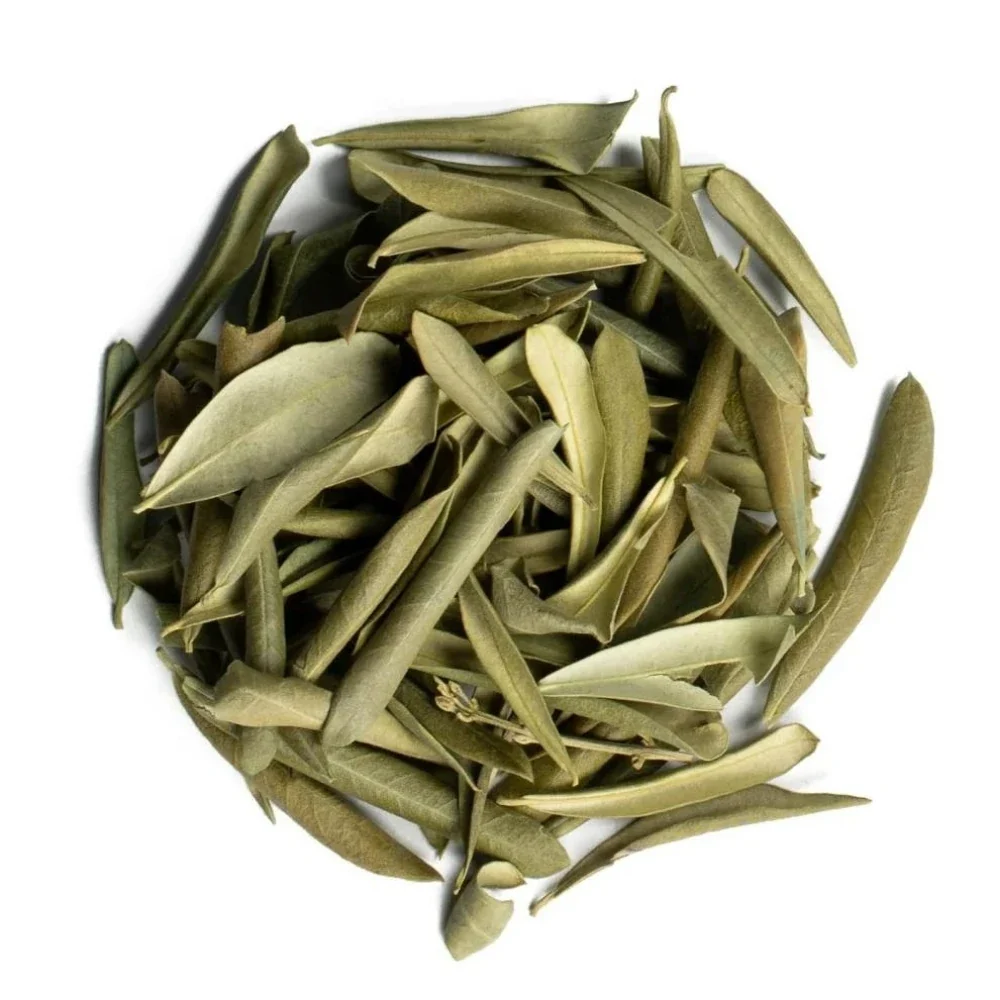 Zeytin Yaprağı (1 kg) - Görsel 2